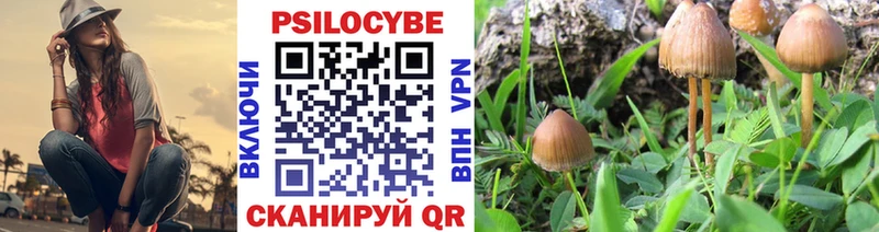 Галлюциногенные грибы GOLDEN TEACHER  Купить где  Тимашёвск 